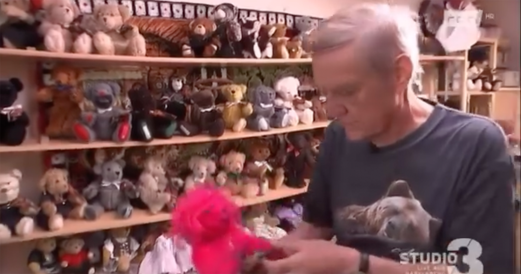 Video | Die Teddyoper von Familie Iben