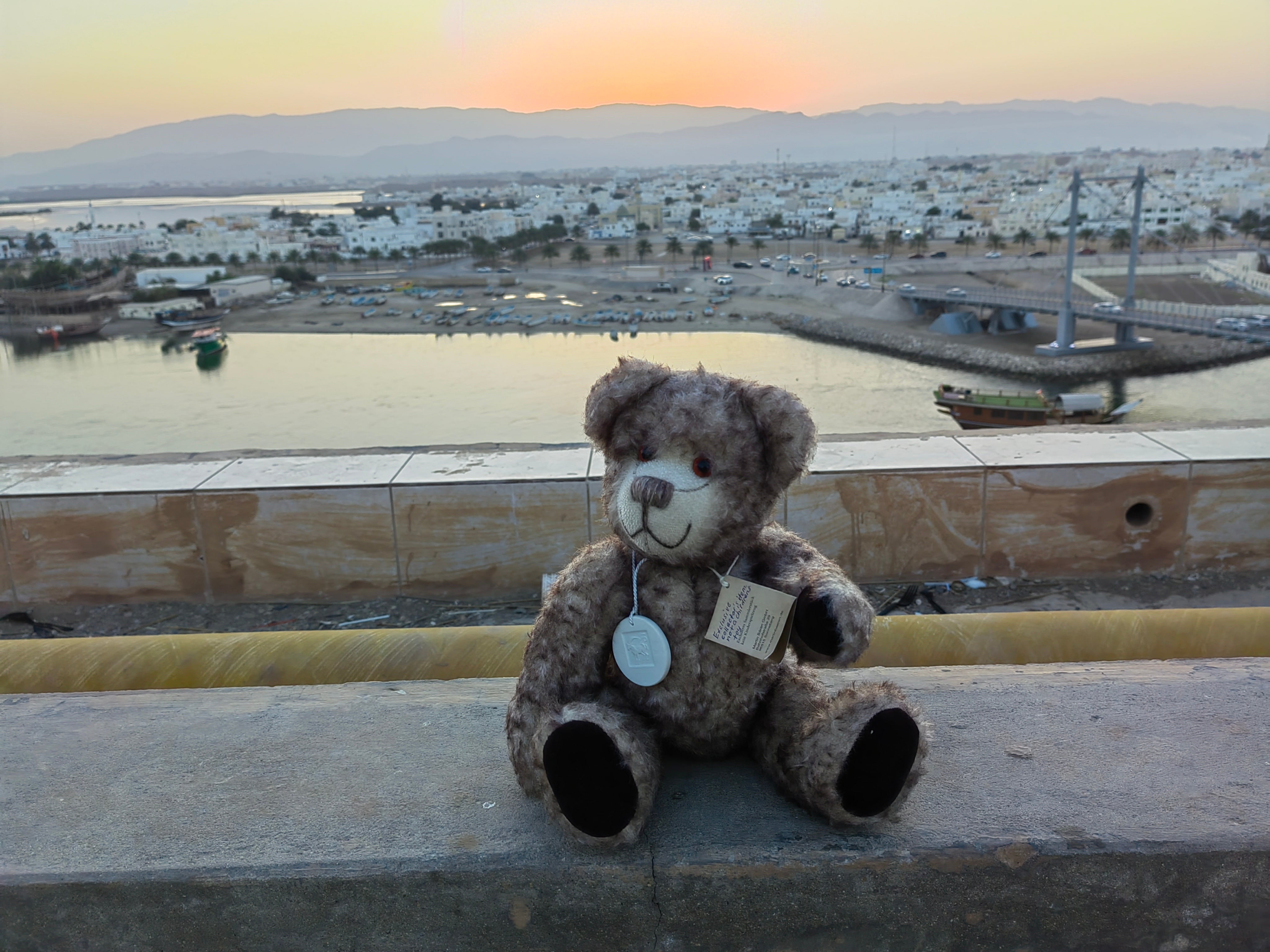 Teddy reist in den Oman