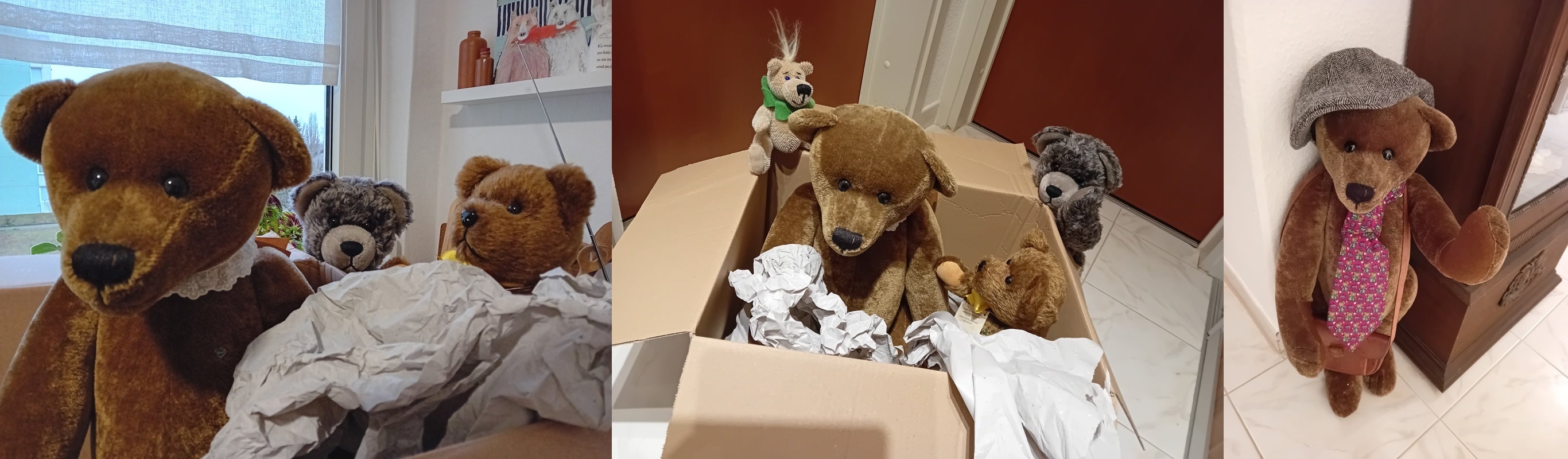 Wenn ein Teddybär ein neues Zuhause findet – Eine schöne Second-Hand-Geschichte