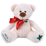 Wünscheteddy Merry Christmas