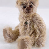 Kleiner Teddybjörn
