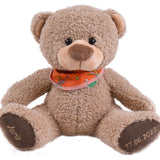 25 cm brauner Knuddelbär mit Bestickung