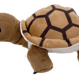 Schildkröte "Henrietta"