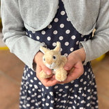 Mini Hase "Hasi"