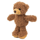 Teddy Magnet